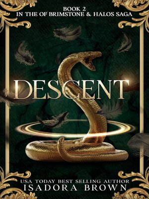 cover image of Descent